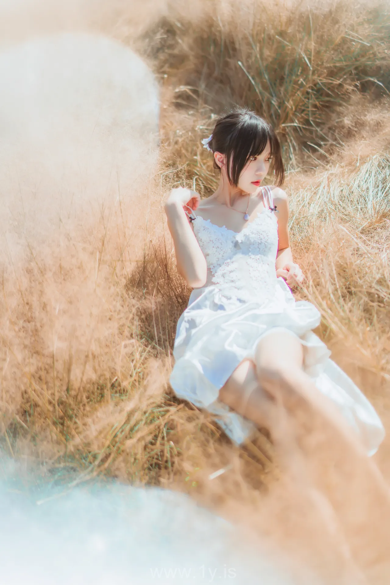 桜桃喵 NO.28 原野上的浪漫